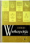 Dzieje Wielkopolski w wypisach