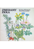 Zbieramy zioła