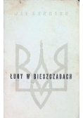 Łuny w Bieszczadach