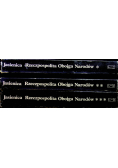 Rzeczpospolita Obojga Narodów Tom 1 do 3