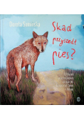 Skąd przyszedł pies