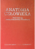 Anatomia człowieka