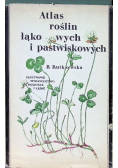 Atlas roślin łąkowych i pastwiskowych