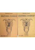 Anatomia zwierząt Tom I  Część I do III