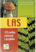 Las 215 roślin zwierząt i grzybów