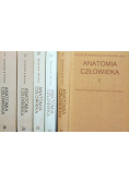 Anatomia człowieka Tom I do V
