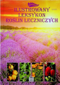 Ilustrowany leksykon roślin leczniczych