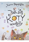 Jak się koty urodziły