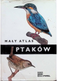 Mały atlas ptaków