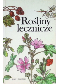 Rośliny lecznicze