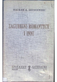Zagubieni romantycy i inni