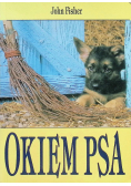 Okiem psa