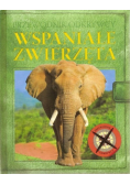 Przewodnik odkrywcy Wspaniałe zwierzęta