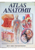 Atlas anatomii