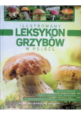 Ilustrowany leksykon grzybów w Polsce