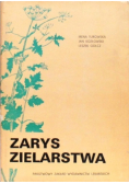 Zarys zielarstwa