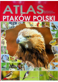 Ilustrowana Encyklopedia ptaków Polski Atlas