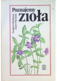 Poznajemy zioła