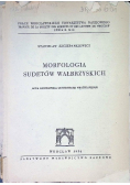 Morfologia Sudetów Wałbrzyskich