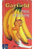 Garfield Strzał w dziesiątkę