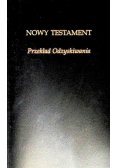 Nowy Testament Przekład odzyskiwania