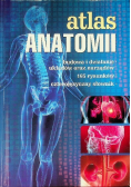 Atlas anatomii