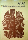 Atlas szkodników owadzich drzew leśnych