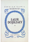 Laur dojrzały 1946 r.