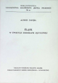 Śląsk w świetle geografii językowej