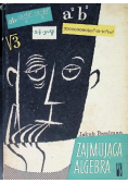 Zajmująca algebra