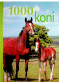 1000 koni