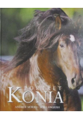 Portret konia