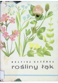 Rośliny łąk
