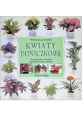 Praktyczny poradnik kwiaty doniczkowe