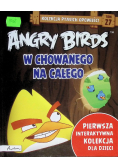 W chowanego na całego