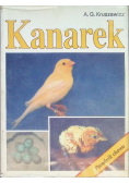Kanarek