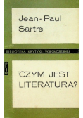 Czym jest literatura