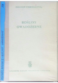 Rośliny owadożerne