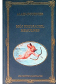 Mój przyjaciel Meaulnes