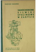 Samochodowe silniki spalinowe z zarysie