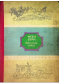 Woda żywa