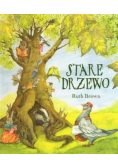 Stare drzewo