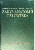 Zarys anatomii człowieka
