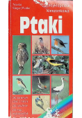 Ptaki