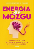 Energia dla mózgu