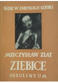 Ziębice