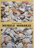 Muszle morskie