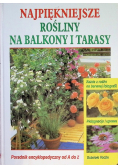 Najpiękniejsze rośliny na balkony i tarasy
