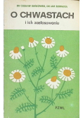 O chwastach i ich zastosowaniu