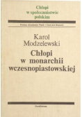 Chłopi w monarchii wczesnopiastowskiej